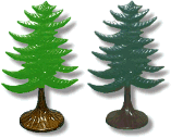 CT-6 Evergreen Trees