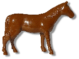Brown Horse