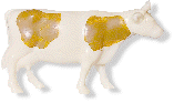 White & Brown Standing Cow