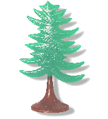 Kelly Green Evergreen Tree