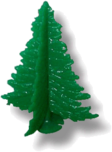 Dark Green Spruce Tree