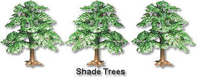 Shade Trees Assembled