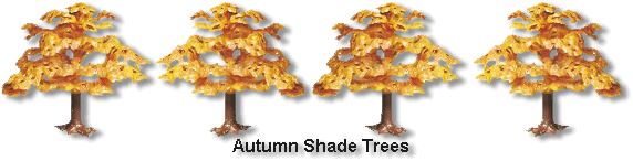 Autumn Shade Trees Assembled
