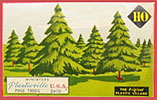 2410 Pine Tree Assortment Box