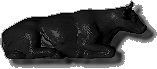 Black Sitting Cow