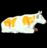 White & Black Sitting Cow