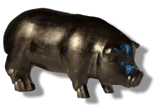 Black Pig